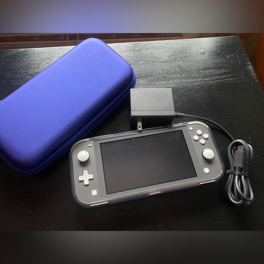 Switch Lite with case and charger